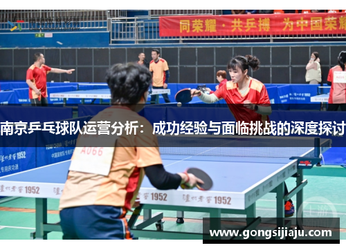 南京乒乓球队运营分析：成功经验与面临挑战的深度探讨