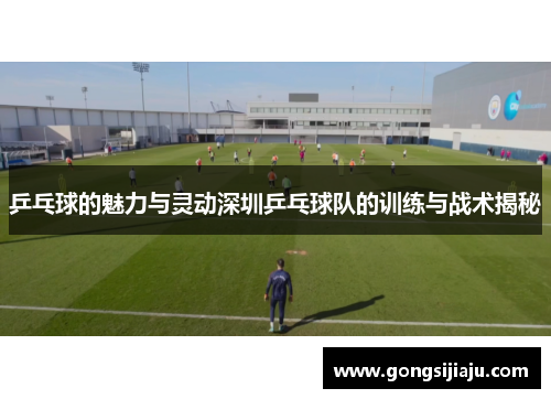 乒乓球的魅力与灵动深圳乒乓球队的训练与战术揭秘